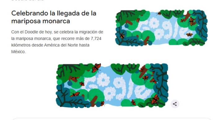 Google celebra la migración de la Mariposa Monarca: así es su viaje por Norteamérica