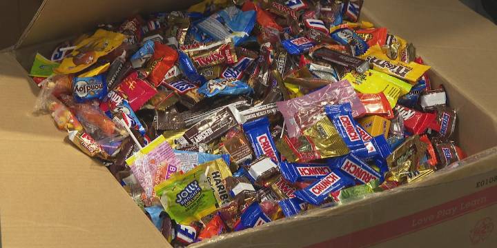 Williston toy store collects Halloween candy for military troops
