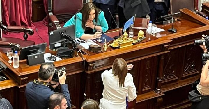 Sin Lorena Villaverde, quiénes son los 23 nuevos senadores y el cruce entre Bullrich y Villarruel