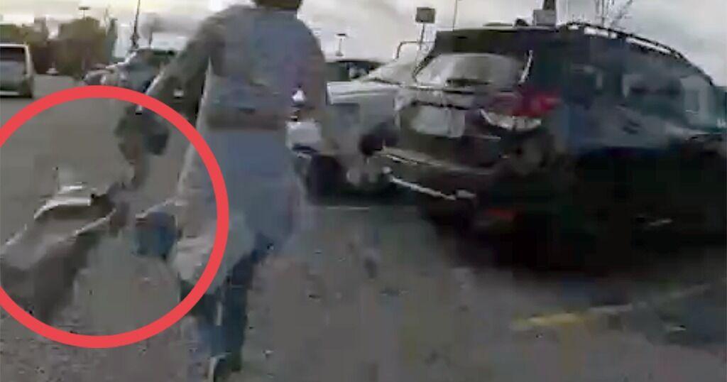 Stolen plate alert leads to felons' arrest in Spokane Valley, guns found