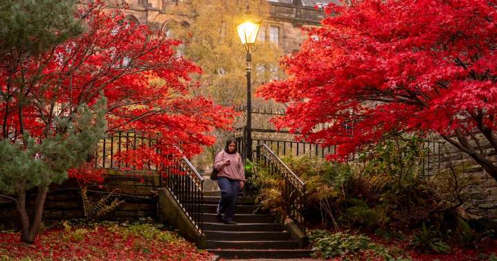 Exact time Glasgow temperatures set to 'soar' this week after cold snap