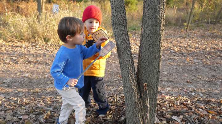 Ohio saw a surge in spotted lanternflies this summer. Here’s what experts say about the spread