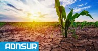 22:42 Clima adverso para Argentina: La Niña y otros índices refuerzan un escenario de sequía y calor extremo