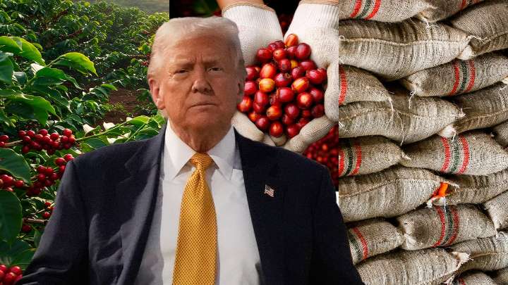 Donald Trump anuncia cambios en los aranceles. Precios del café y otros productos tendrían modificaciones