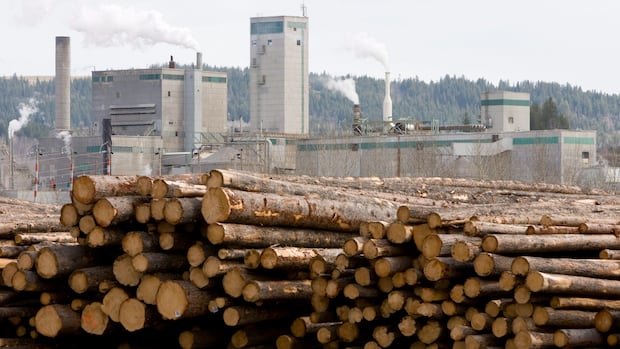 West Fraser to shut mill in 100 Mile House, B.C., amid market challenges