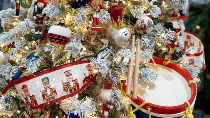 What to know about the 2025 Akron Children’s Holiday Tree Festival 🎄