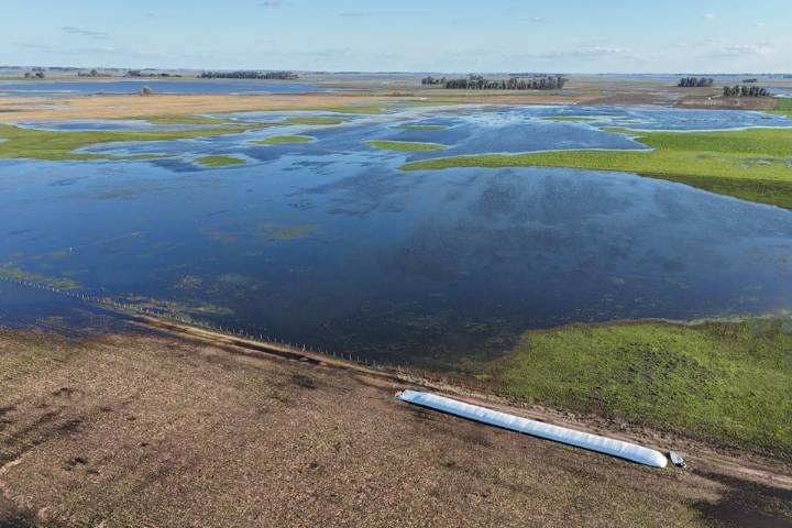 “Más vale tarde que nunca”. El campo espera que la ayuda del Gobierno descomprima las inundaciones