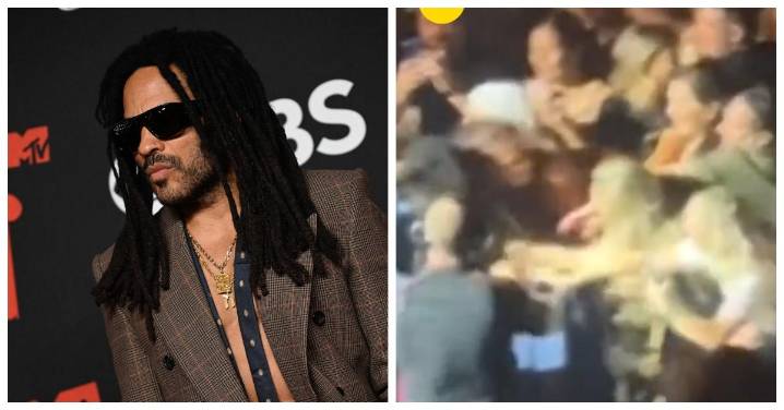 Overly Enthusiastic Fan Rips Out Lenny Kravitz's Signature Dreadlocks — "D-
