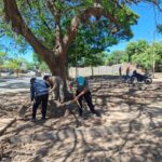 La Municipalidad avanza con la renovación de la...