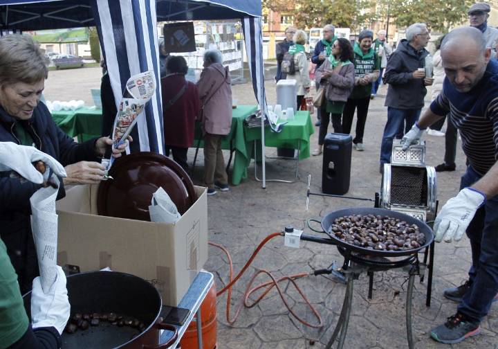 Castañas y clamor vecinal por el Parque del Este de Oviedo