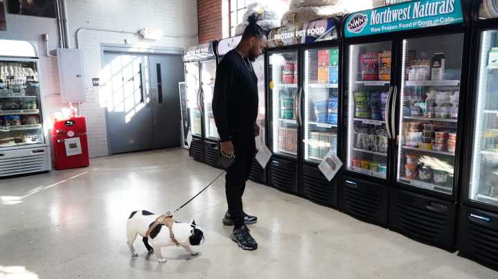 Arizona laws about bringing a gun, dog or camera to a grocery store