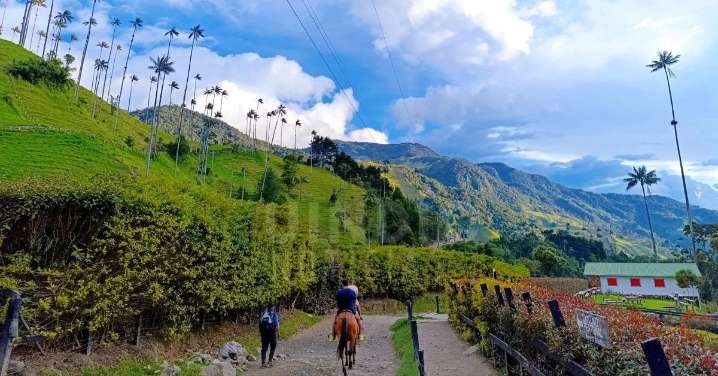 Quindío apuesta por el turismo regenerativo: proyectos piloto buscan devolver más al territorio de lo que recibe