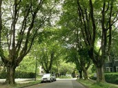 B.C. climate news: Review says B.C. isn't close to meeting climate goals | NDP and First Nations fire back against deal between Ottawa and Alberta on pipeline