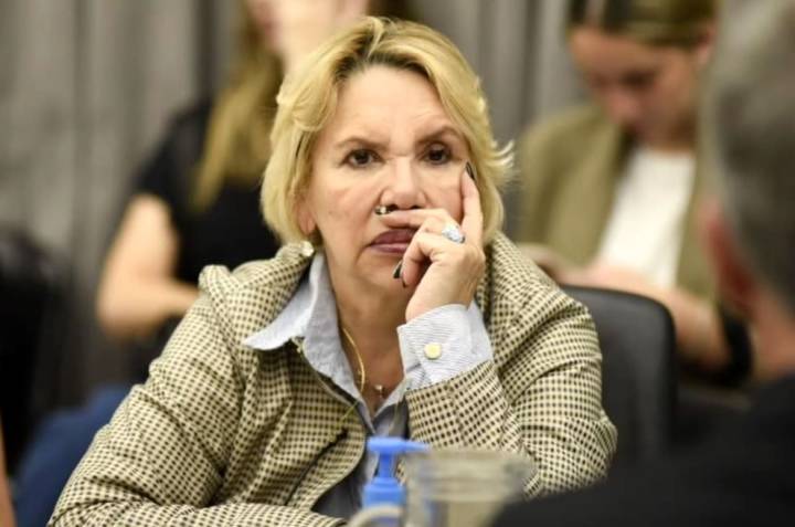 "No soy un rebaño". Una diputada aseguró que está en contra de la vacunación obligatoria