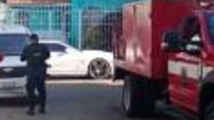 Cinco Perros Fueron Hallados Sin Vida en Celaya el Fétido Olor Alertaron a los Vecinos