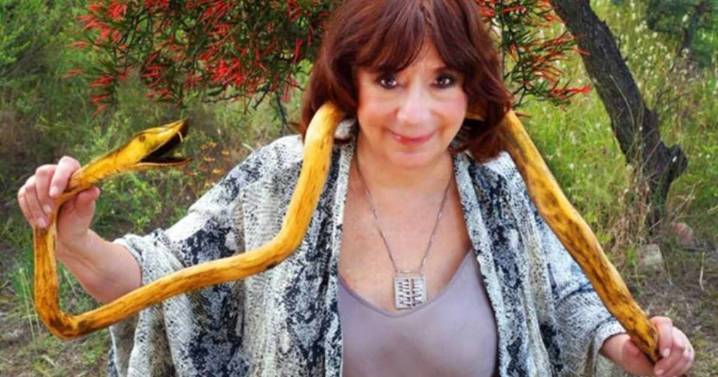 Horóscopo Chino de Ludovica Squirru hoy: los designios secretos del Chancho de Madera Yin