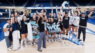 'They wanted this': Toreros clinch share of WCC title, earn NCAA Tournament bid