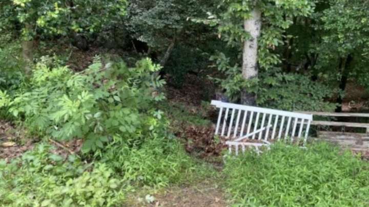 Maryland Pup Goes Missing In A Storm, And Her Family Fears The Worst