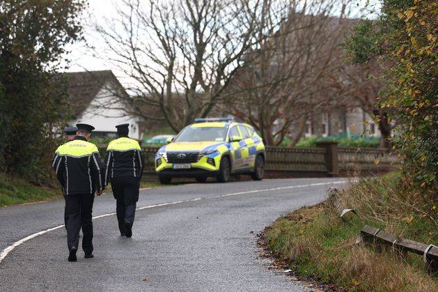 Five young people dead in ‘devastating’ road crash in Co Louth
