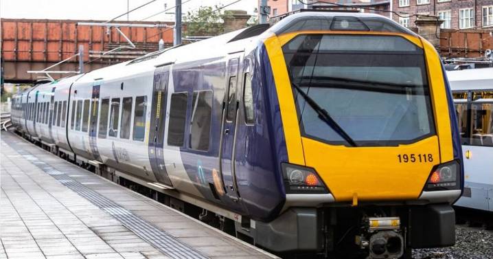 Train chaos at Manchester Piccadilly as fallen tree blocks line during Storm Claudia