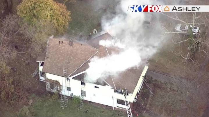 Smoke alarms help residents, dogs escape Cleveland house fire