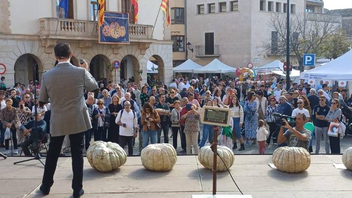 Pep Ferriol gana el concurso de calabaza autóctona de Muro con una pieza de 49,71 kilos