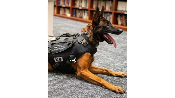 Calif. police K-9 killed in standoff with traffic stop suspect