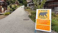 State Department warns Americans in Japan after deadly spike in bear attacks