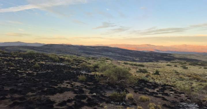 Incendios forestales en el norte de Neuquén: contuvieron un foco, pero continúa el operativo en otros sectores