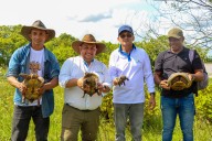 600 tortugas fueron reintegradas a su hábitat natural por parte de Corporinoquia