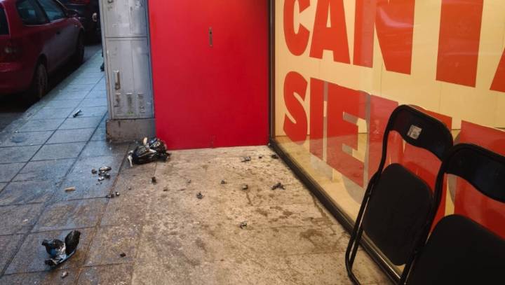 El hijo de la alcaldesa de Bezana, vinculado con Falange, saludos fascistas y búsquedas para hacer explosivos en la investigación por el atentado a la sede del PSOE