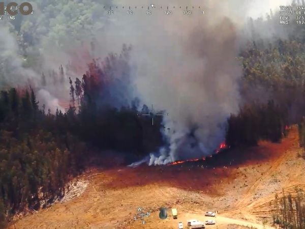 Conaf en alerta por simultaneidad de incendios forestales