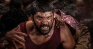 Bison Kaalamaadan Box Office Collection Day 20: Enjoys 50% Profits, Will It Beat Veer Dheera Sooran’s Worldwide Lifetime?