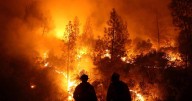 California senators demand PPE, greater smoke protections for wildland firefighters