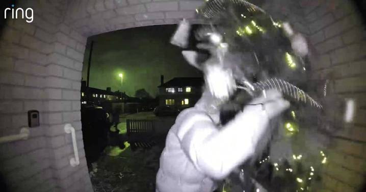 Moment real life Grinch steals 6ft Christmas tree from Midland mum's porch