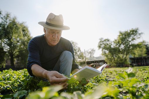 Farmer’s Almanac to cease publication | Kingston/Frontenac This Week