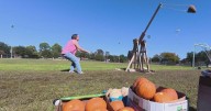 UT Arlington's "Punkin Chunkin" lesson