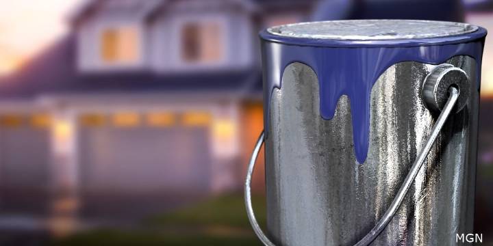 Central District Health Department gets grant to deal with lead