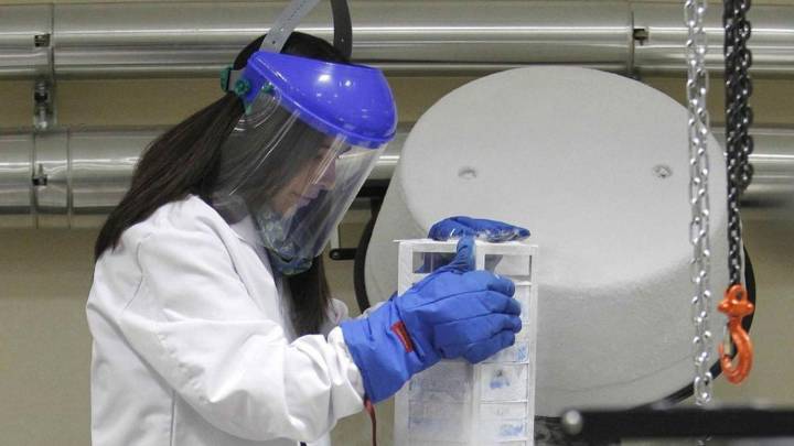 Galicia custodia una de cada diez donaciones de sangre de cordón umbilical almacenadas en España: 6.372 unidades