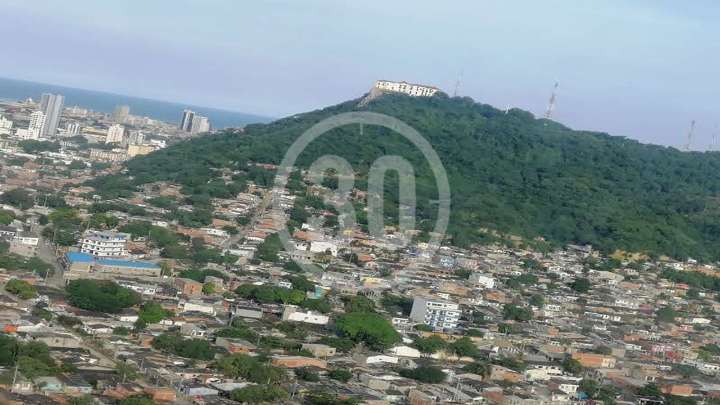 Procuraduría inhabilita 12 años a exalcalde de Cartagena William Dau, por participación indebida en polítia