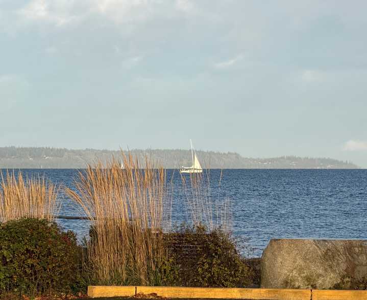 Scene in Edmonds: Around town Friday