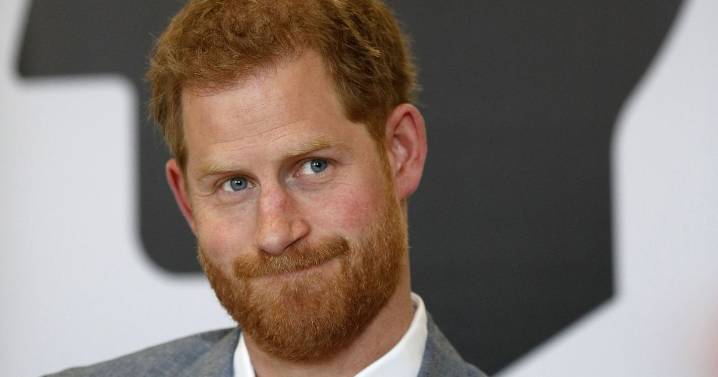 'I'm Prince Harry's old pal, his homesick texts alarmed me so we had to make a pact'