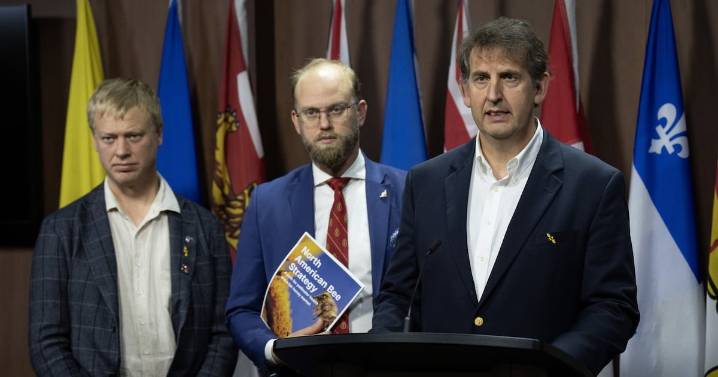 Beekeepers call for non-North American ban as mites spread