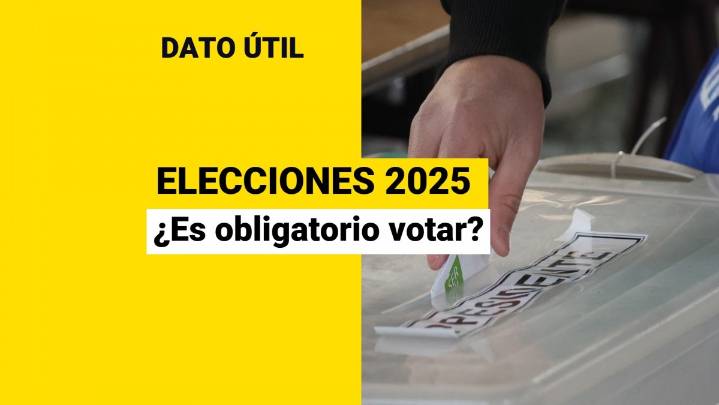 Elecciones 2025: ¿Es obligatorio votar este domingo 16 de noviembre?