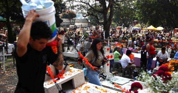 Día de muertos, lo que el panteón nos dice: Mortalidad en hospitales del IMSS se dispara 73%