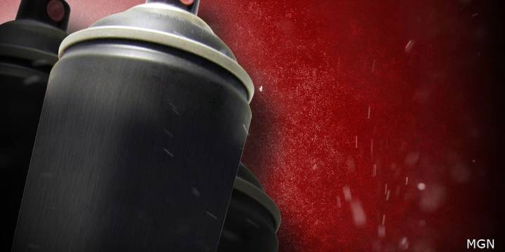 Officers investigate vandalism incidents