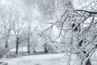 Snow in forecast Monday night-Tuesday for southeastern Pennsylvania