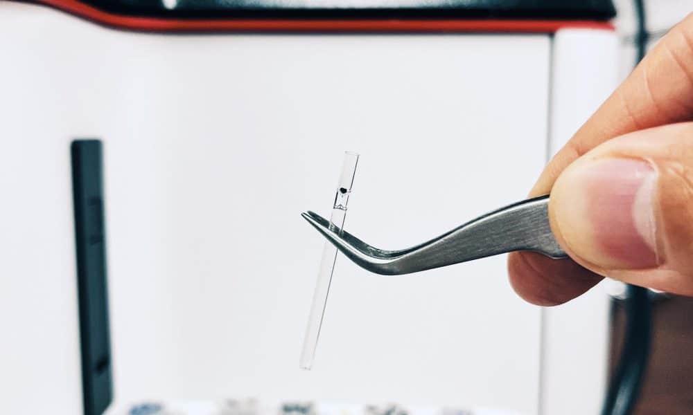 Científicos hallan señas de la existencia de vida en la Tierra hace 3.300 millones de años