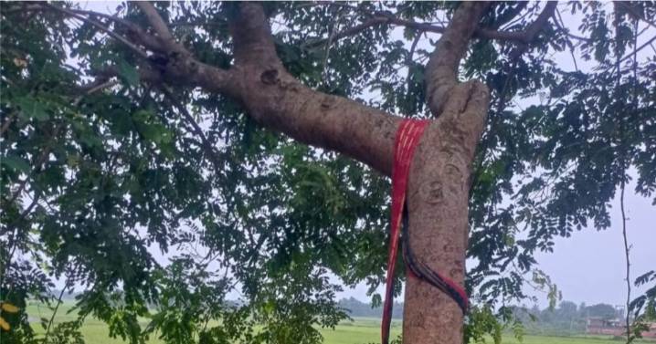 Elderly couple end lives; woman and paramour found hanging in two separate incidents in Odisha’s Bargarh
