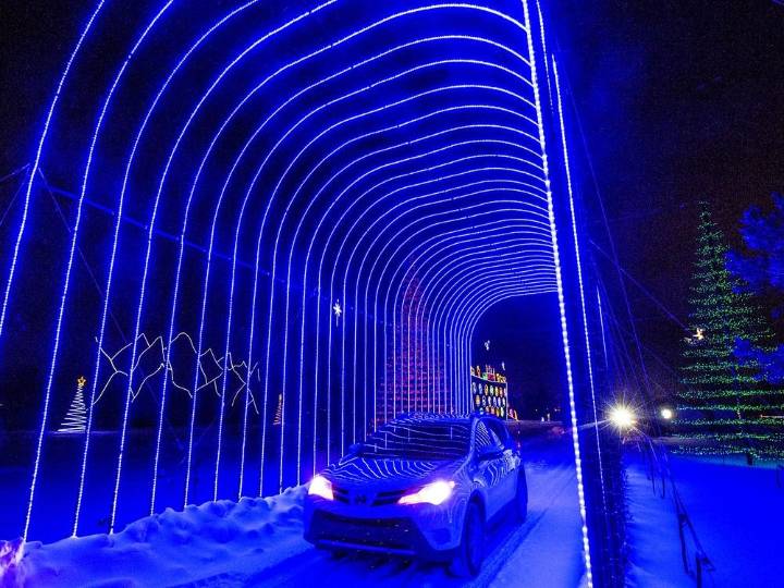 What to know about this year's BHP Enchanted Forest